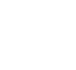 LifeSearch logo white